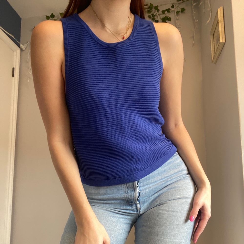 Aritzia Babaton Alrik Royal Blue Ribbed Knit Tank Top